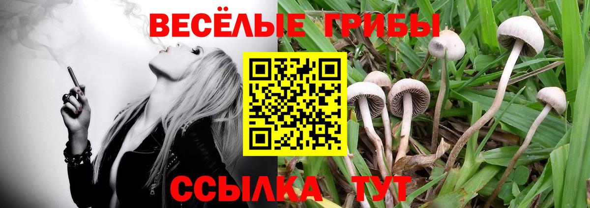 Галлюциногенные грибы мухоморы Уссурийск